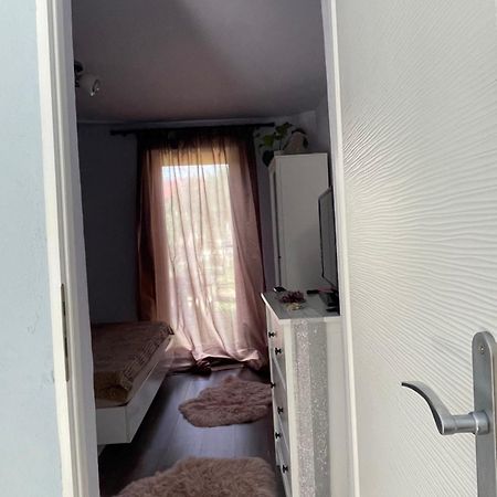 Garsoniera La Casa Appartement Timişoara Buitenkant foto